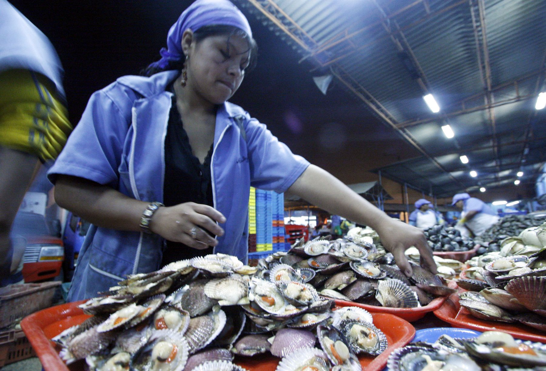 Empresas pesqueras piden agilizar procesos sanitarios para la exportación