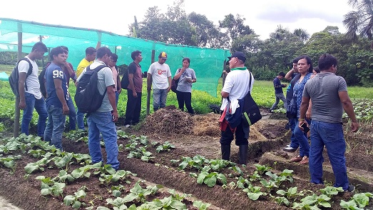 Alianzas estratégicas de Foncodes fortalecen trabajo  de inclusión económica con hogares rurales