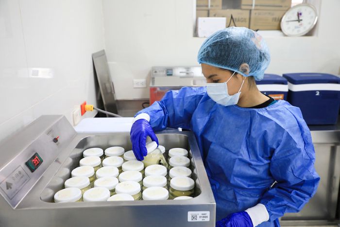 Banco de leche humana: madres que donan elixir de vida a bebés prematuros