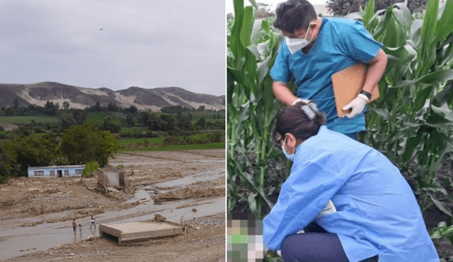  Áncash: asesinan a abogado y abandonan su cuerpo en la carretera