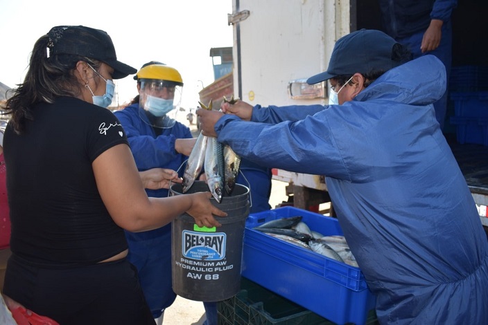 Pesquera entregó más de 600 kilos de pescado fresco a población de la caleta de Coishco