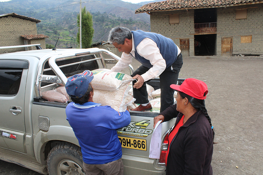 Pallasca: municipio entregó 9.5 toneladas de semillas de trigo y arveja a campesinos 