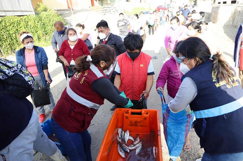 Chimbote: entregan dos toneladas y media de pescado en varios asentamientos humanos