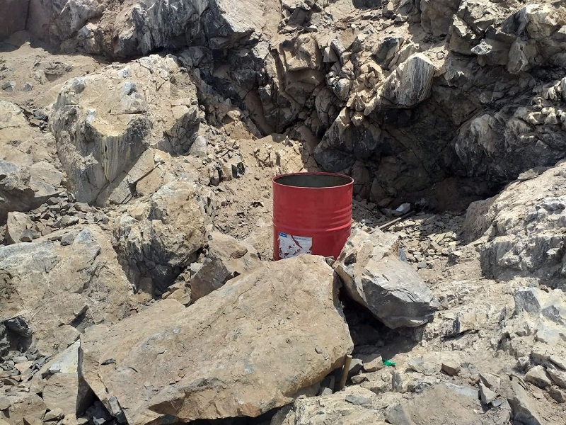 Atentado en la Isla Blanca: inescrupulosos realizan apertura de caminos y ahuyentan a especies marinas