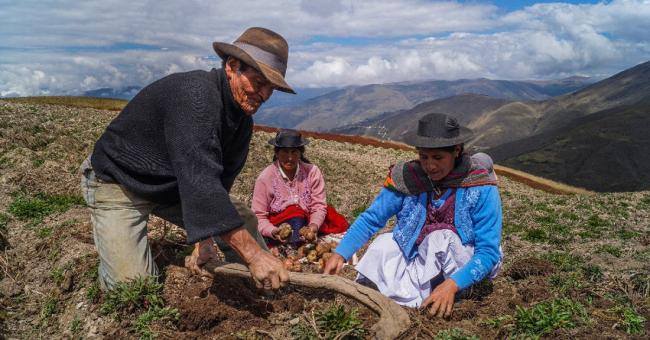 Es hora de enfrentar dos crisis silenciosas: agro y la alimentación