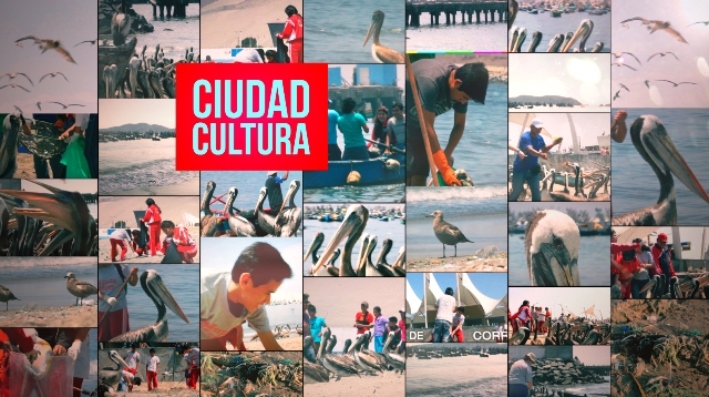 “Ciudad Cultura” presenta videos virales a favor del arte urbano y cuidado de nuestra bahía