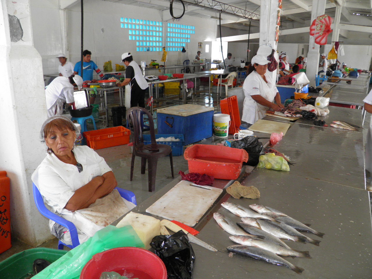 Habrá escasez de pescado y demás especies en Chimbote durante Semana Santa
