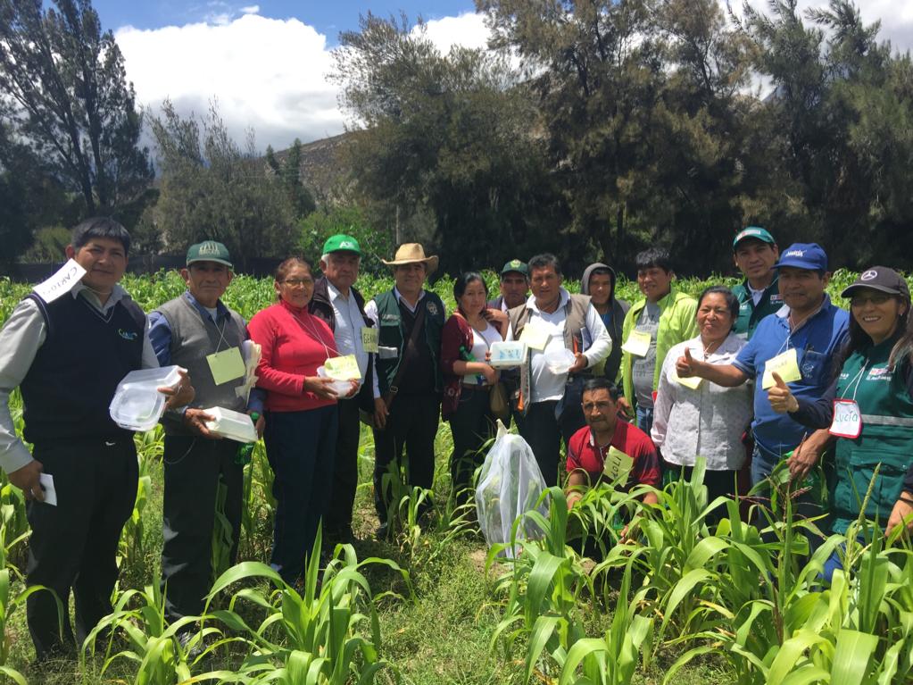 Áncash: entrenan a facilitadores en escuelas de campo para beneficio de la agricultura familiar
