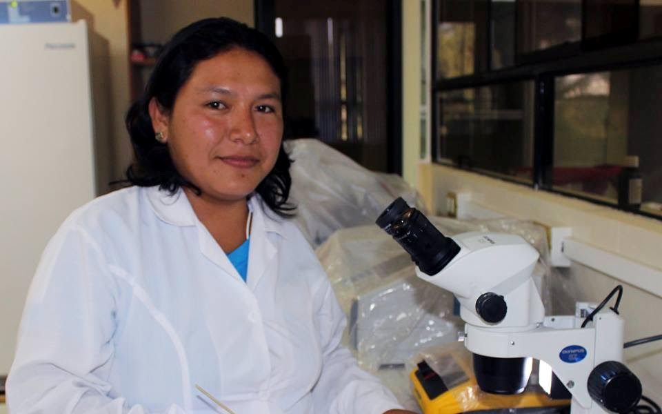 Estudiantes de la UNS cultivan pepinos de mar en la bahía ancashina