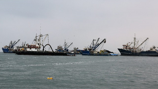 Autorizan pesca exploratoria del 17 al 21 de abril para actualizar información de la anchoveta