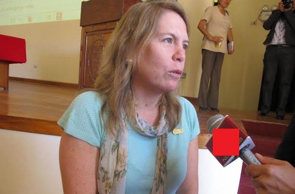  “Los pescadores en tiempo de veda deberían trabajar en programas del estado”, propone ex ministra