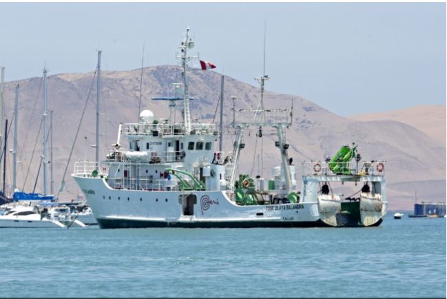 Imarpe iniciará exploración de pota en el  litoral peruano