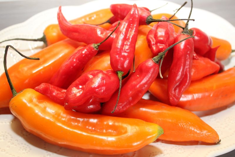 Adex: ajíes nativos peruanos llegaron a 32 destinos