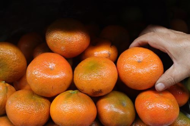Mandarina, fruta rica en vitamina C y antioxidantes, se vende en mercados a bajo precio