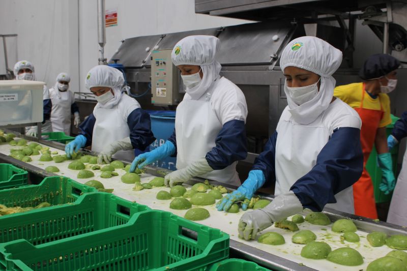 Exportaciones crecieron 27.3% en el primer trimestre del año