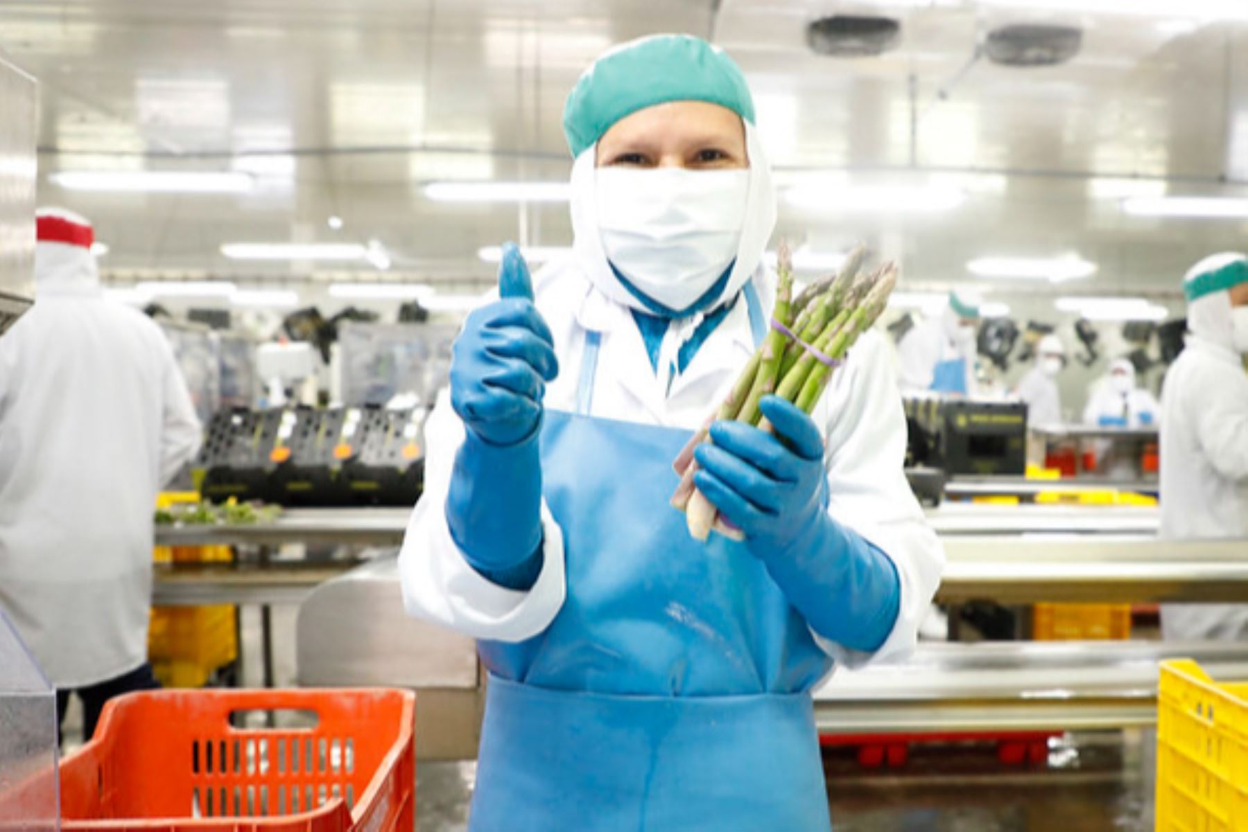 Impulsan certificación de origen más rápida para exportadores