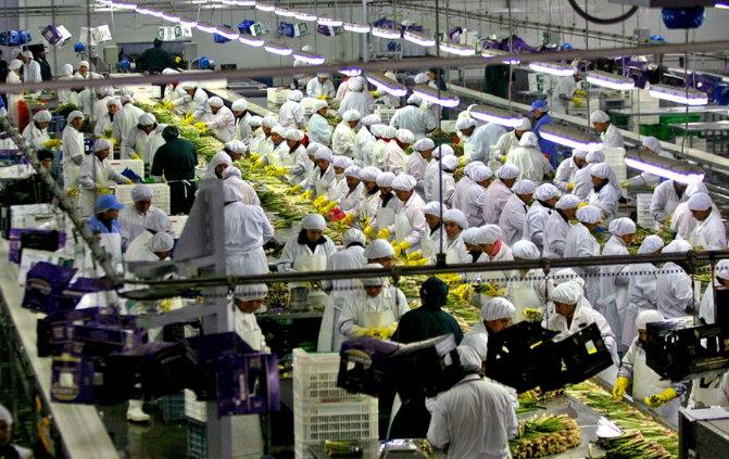  Exportación agroindustrial de Áncash creció 7% entre enero y abril