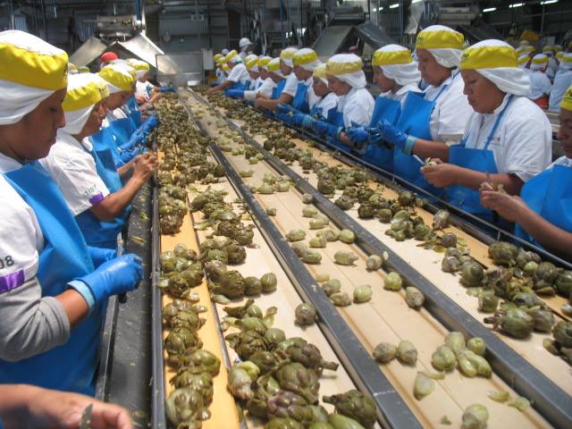  Indecopi enfoca supervisiones del 2017 en actividades económicas que tienen impacto en la canasta básica familiar