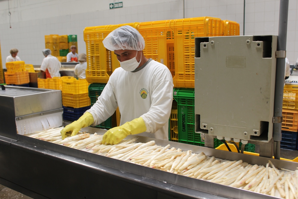 Exportaciones generaron más  de 484,000 empleos a nivel nacional