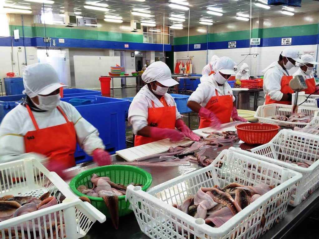 Crecen exportaciones de Áncash entre enero y octubre del 2017