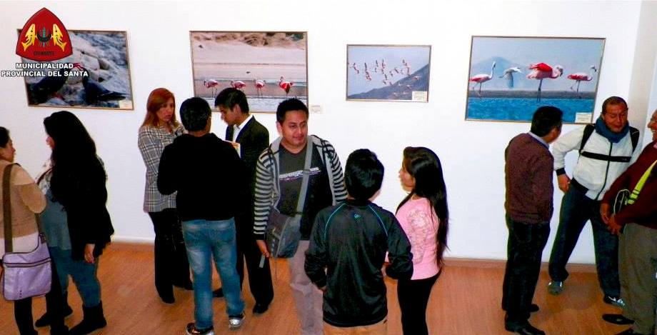 Exposición fotográfica “Nuestra biodiversidad” exhibe fauna de la provincia del Santa