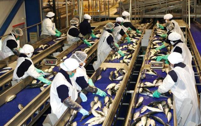 Empresas peruanas son líderes en gestión responsable de harina y aceite de pescado