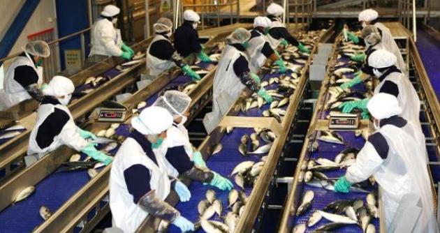 Áncash fue la segunda región más exportadora en el 2014