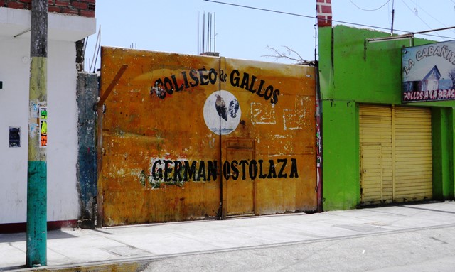  Santa: Cuatro baleados en gallera donde se realizaba fiesta “chicha”