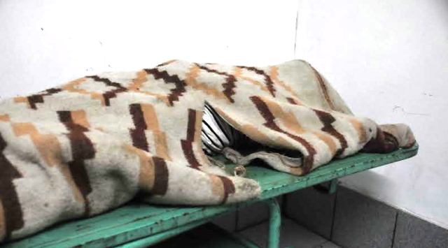 Asesinan a sujeto durante fiesta en “Esperanza Alta” y capturan a sicario