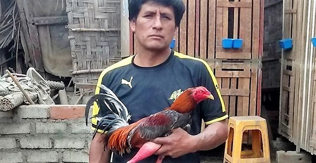 Asesinan de una puñalada en el tórax a cerrajero en el pueblo joven Esperanza Alta de Chimbote