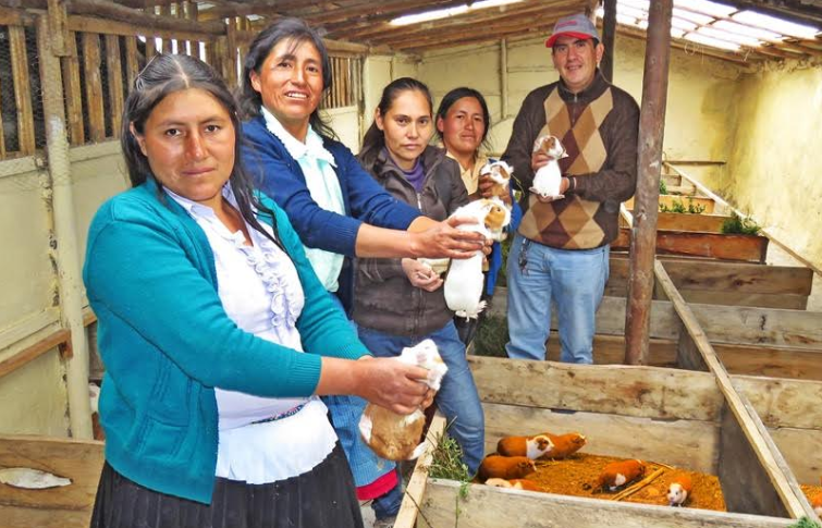 Más familias de la sierra y selva aprenden a ser autónomas productiva y financieramente con “Haku Wiñay”