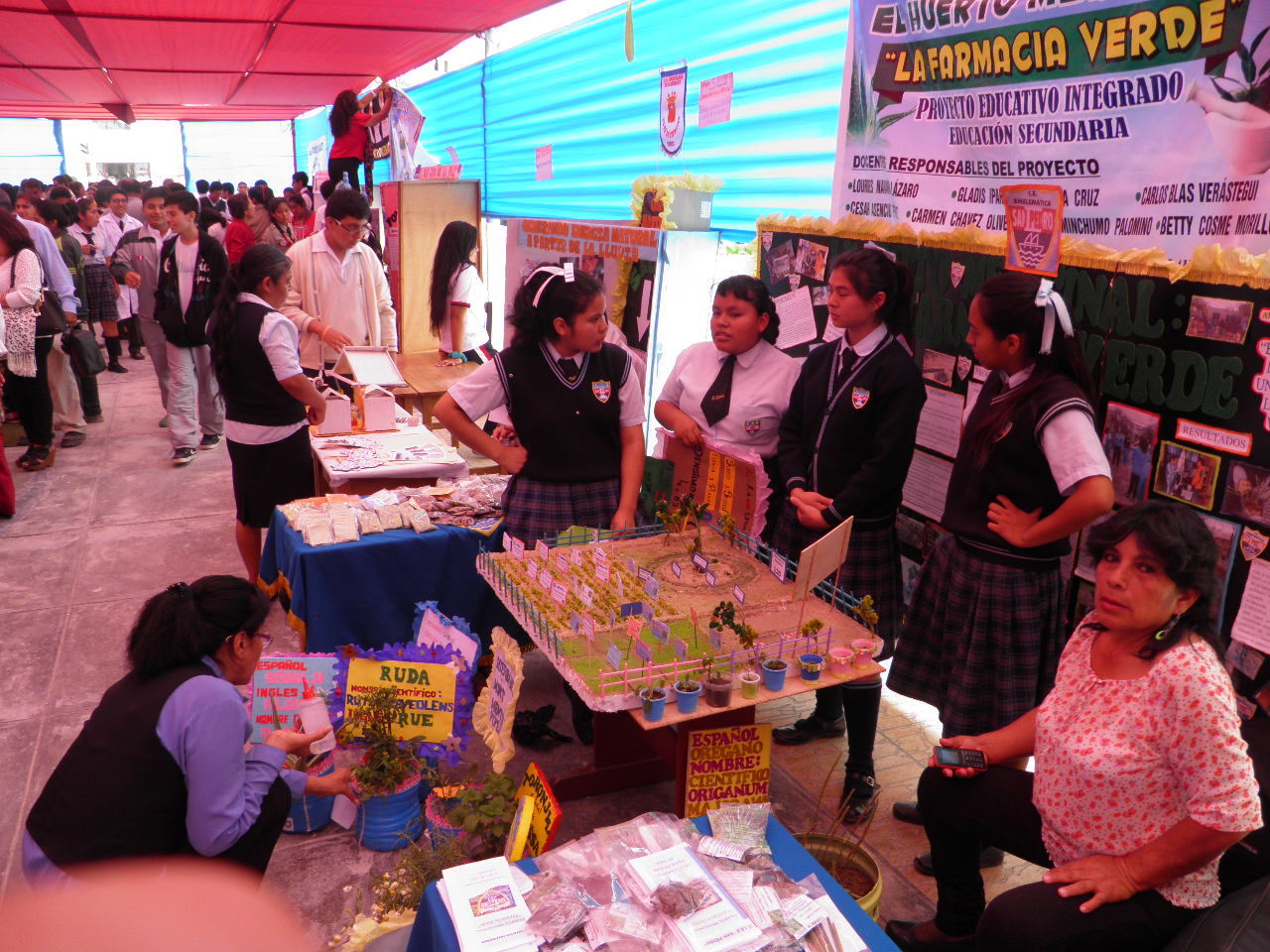 Chimbote: unos 118 proyectos fueron presentados en la feria de ciencia y tecnología 
