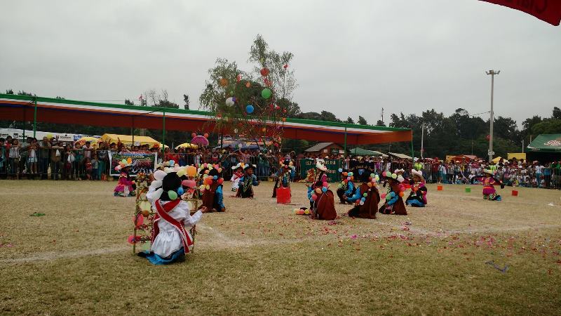 Feria de San Pedrito unirá tradiciones y a la familia en el vivero forestal