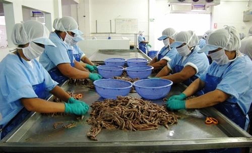 Falta muy poco para que se reglamente ley a favor de trabajadoras fileteras