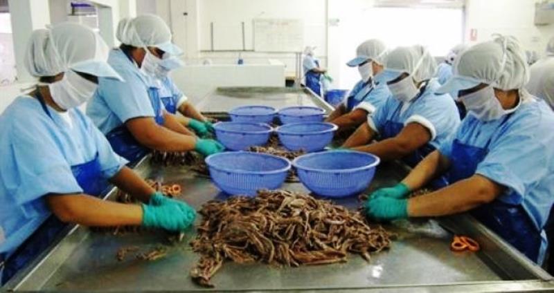 Día del Trabajo: 30 mil fileteras esperan que se reglamente ley