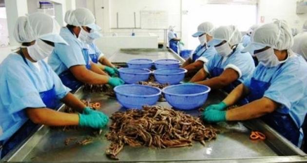  Dirigente conservero califica de “desgracia” la crisis que atraviesa el sector