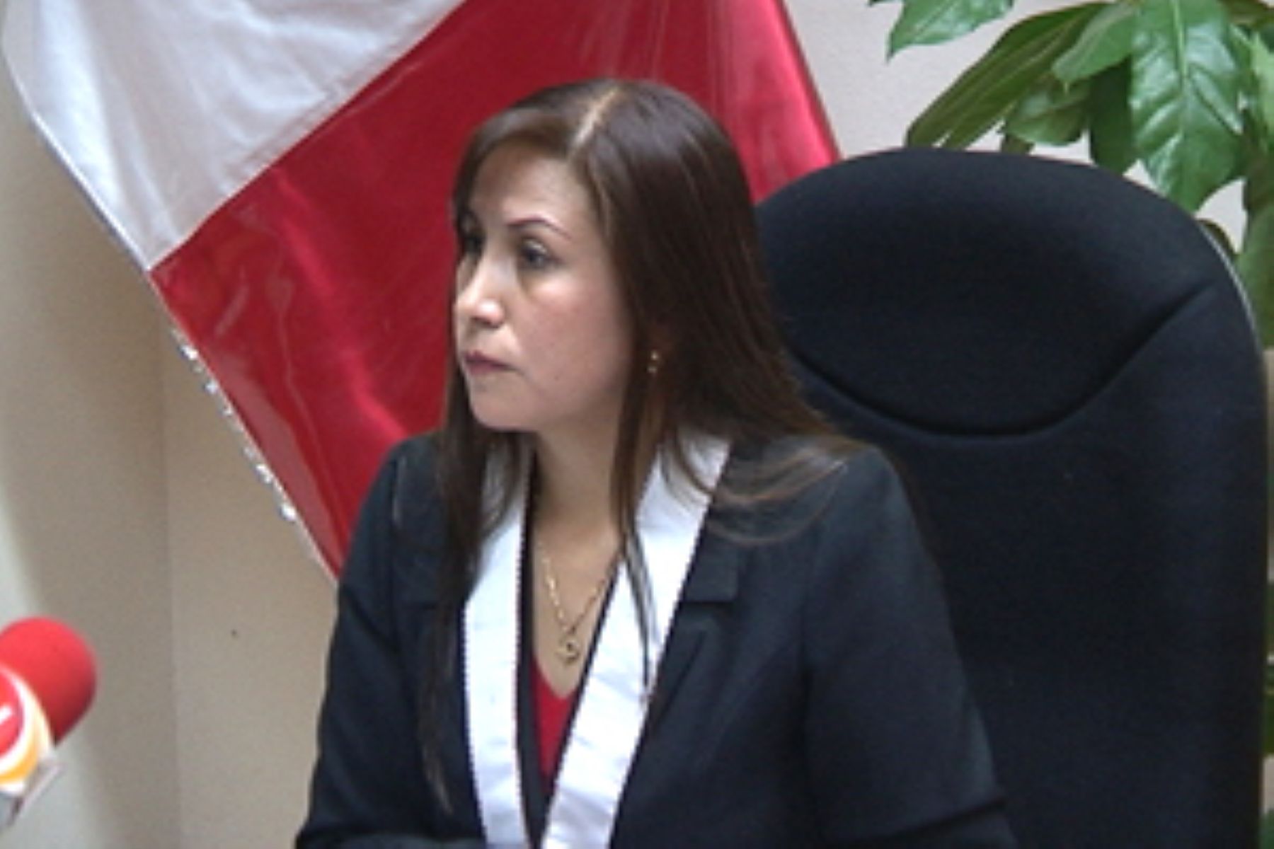 Fiscal suprema adjunta pide a Chávarry dar un paso al costado