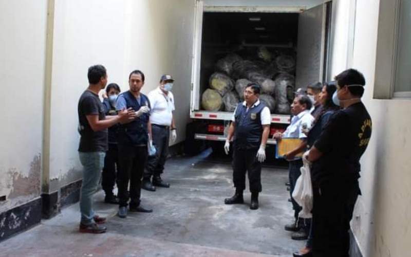 Cuatro años de prisión para inescrupulosos que vendían aleta de tiburón en Chimbote