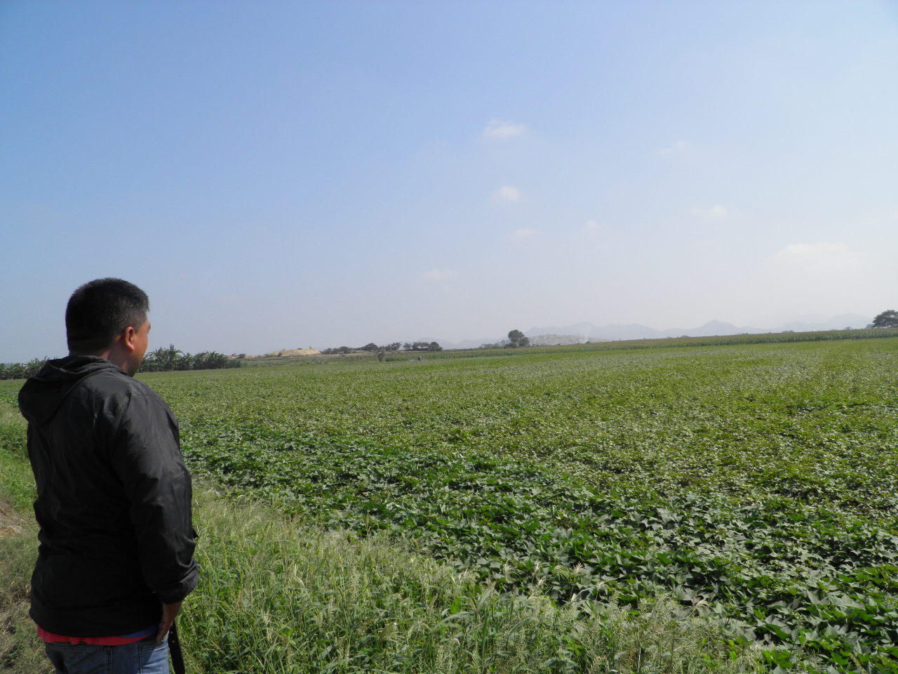 La Centralita: Fiscalía inspecciona predio rural de Florencio Román en Tambo Real