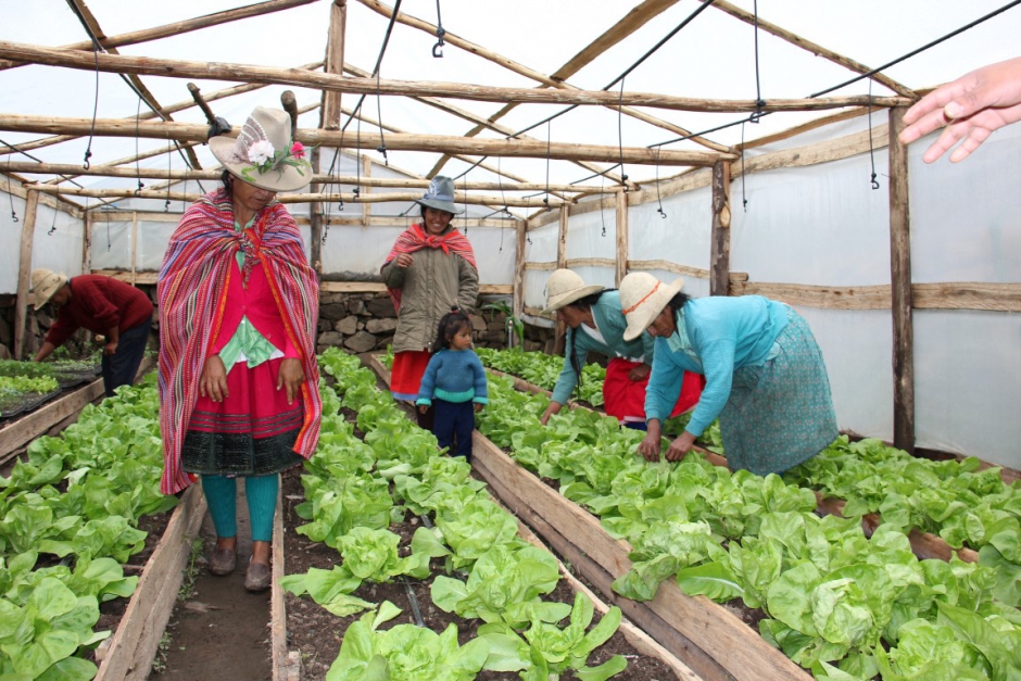 Áncash: Foncodes aclara que denunció ante Fiscalía presuntas irregularidades en proyecto Romas DIT