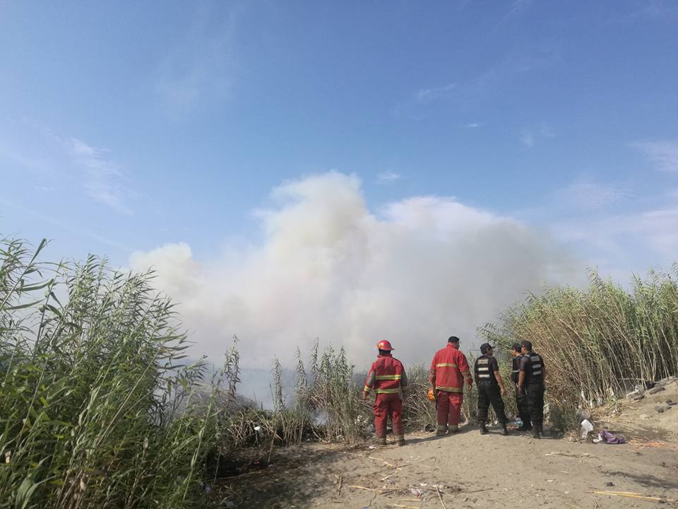 Chimbote: incendió arrasó más de una hectárea de totorales en los humedales de Villa María