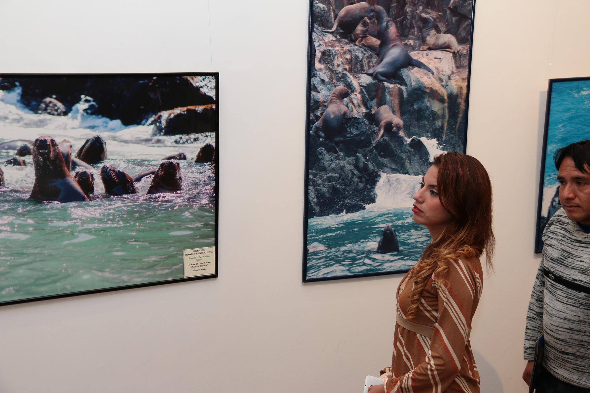 Exposición fotográfica sobre flora y fauna de Áncash en el Megaplaza Chimbote
