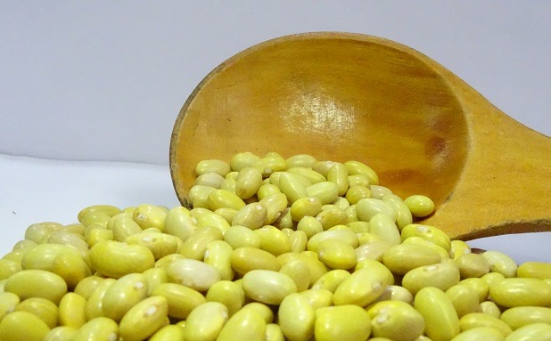 Frijol forma parte de la dieta de los escolares usuarios del servicio alimentario 