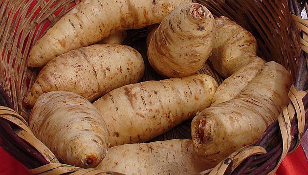  Ley de Alimentación Saludable combatirá malnutrición y males crónicos en niños