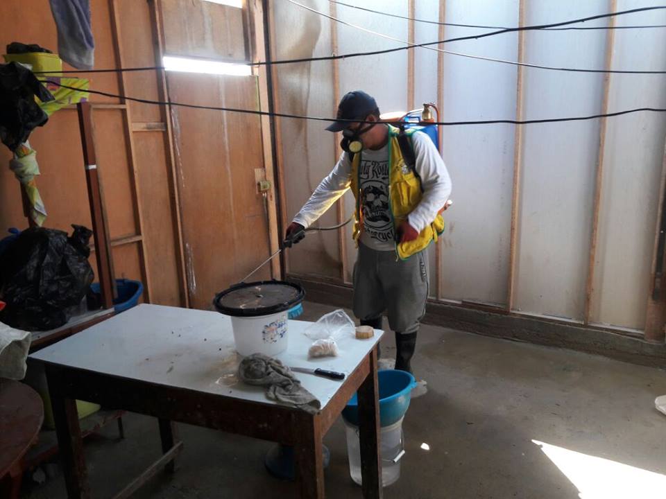 Nuevo Chimbote: municipio emprende gran campaña de fumigación de viviendas