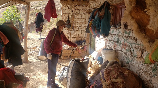Fumigan contra la uta en caseríos de Macate debido a la aparición de casos de esta enfermedad (Áncash)