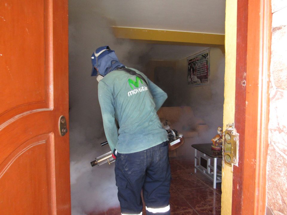 Este domingo culminan las labores de fumigación en el distrito de Coishco