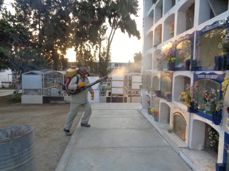 Chimbote: Beneficencia dispuso fumigación total del cementerio  “Divino Maestro”