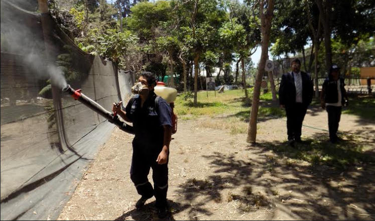Chimbote:  fumigan el Vivero Forestal para evitar presencia del vector del dengue