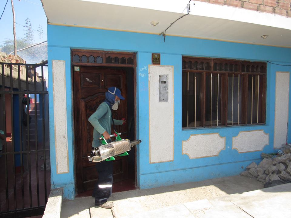 Red de Salud Norte alista fumigar en ocho sectores del distrito de Chimbote